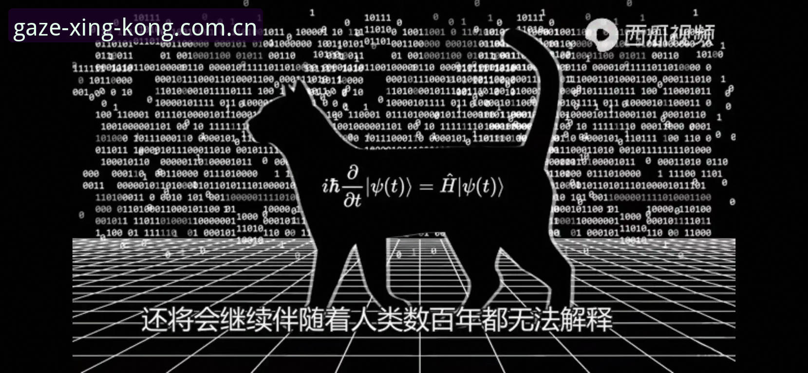 星空APP运动登录攻略 友谊赛背后的数据洞察:星空APP运动登录攻略教你读懂阿根廷队状态